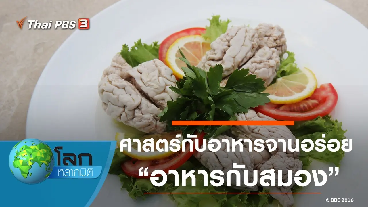 ศาสตร์กับอาหารจานอร่อย ตอน อาหารกับสมอง
