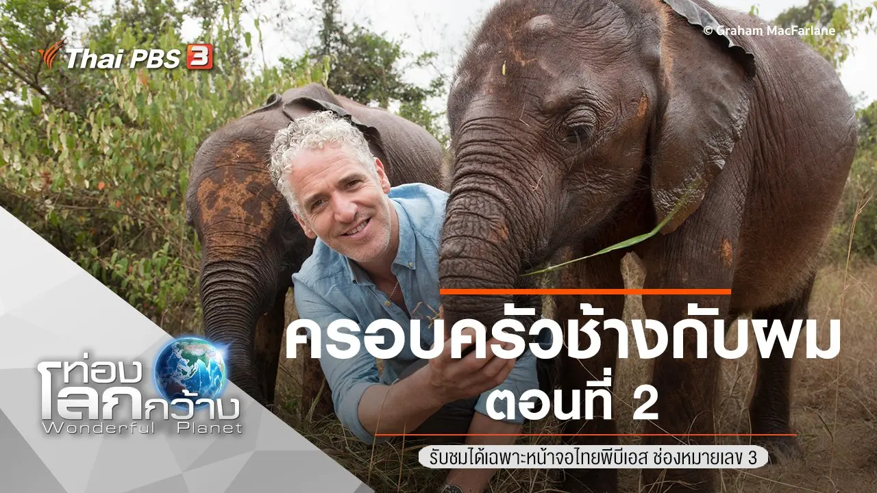 ครอบครัวช้างกับผม ตอนที่ 2