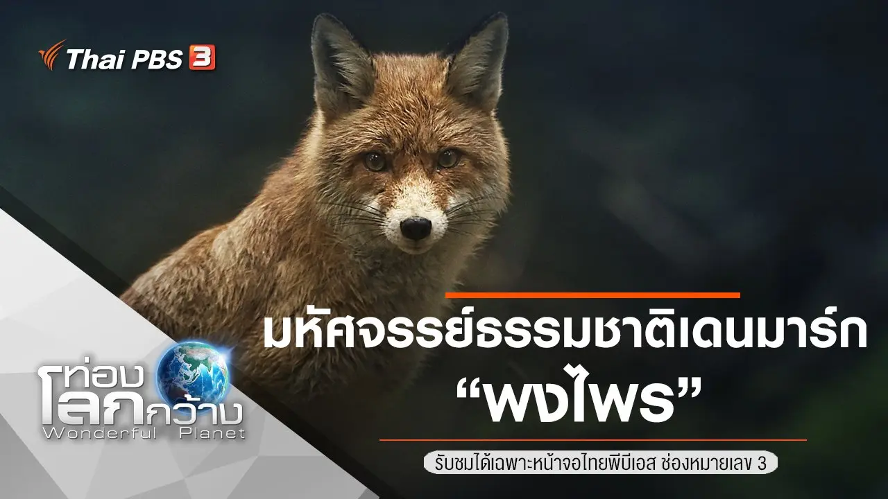มหัศจรรย์ธรรมชาติเดนมาร์ก ตอน พงไพร