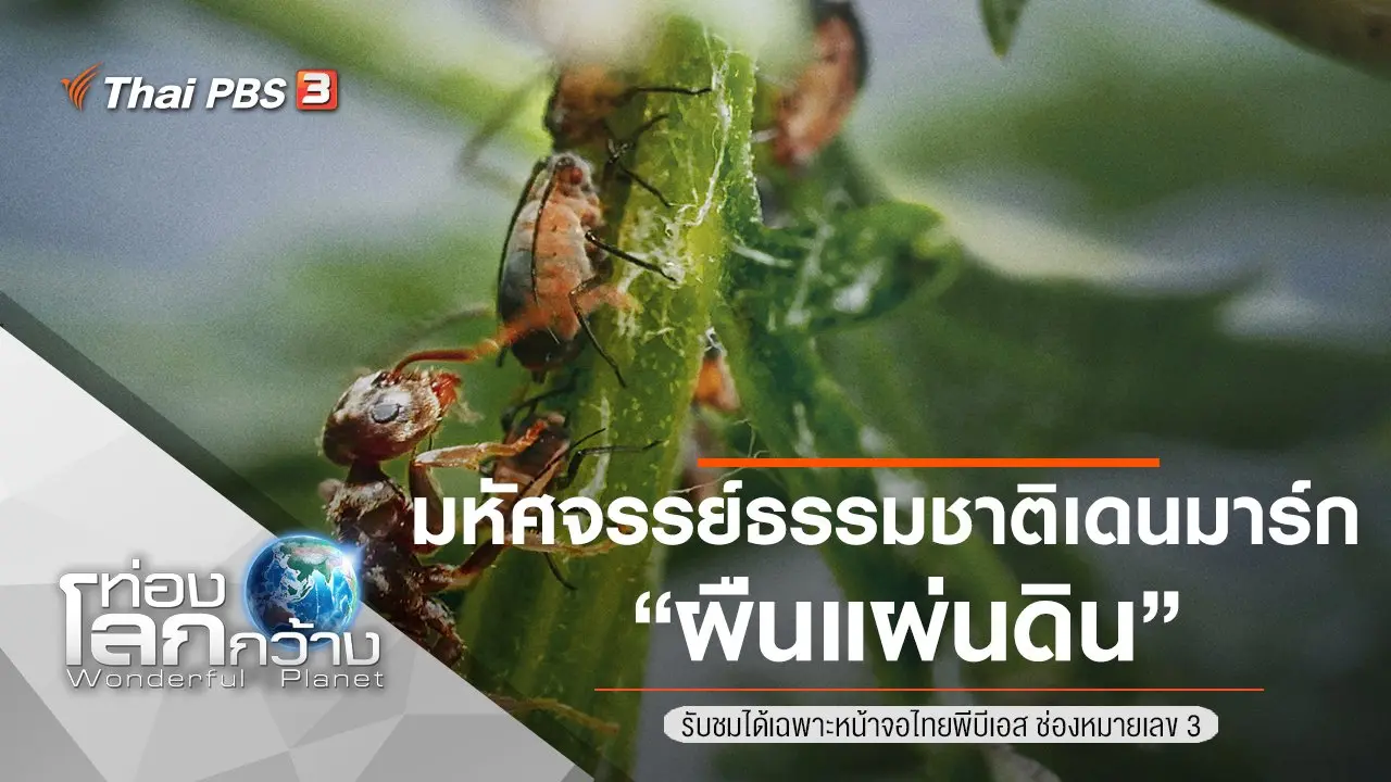 มหัศจรรย์ธรรมชาติเดนมาร์ก ตอน ผืนแผ่นดิน