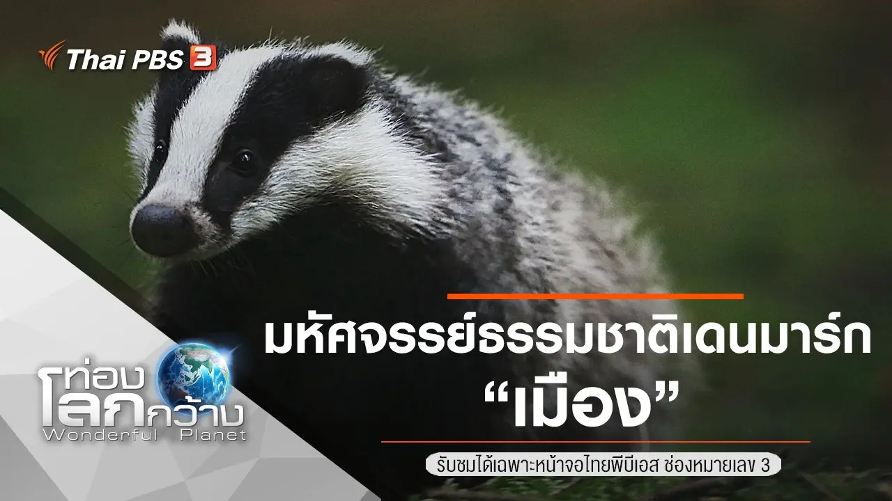 มหัศจรรย์ธรรมชาติเดนมาร์ก ตอน เมือง