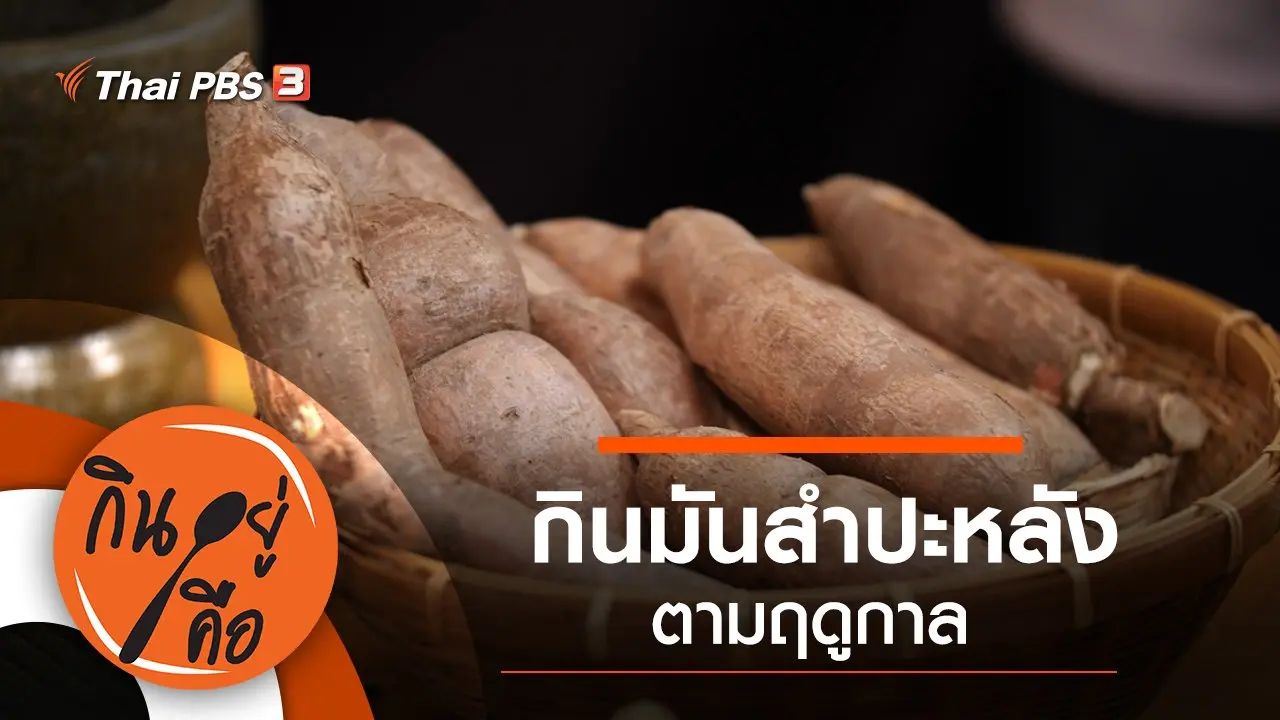 กินมันสำปะหลังตามฤดูกาล