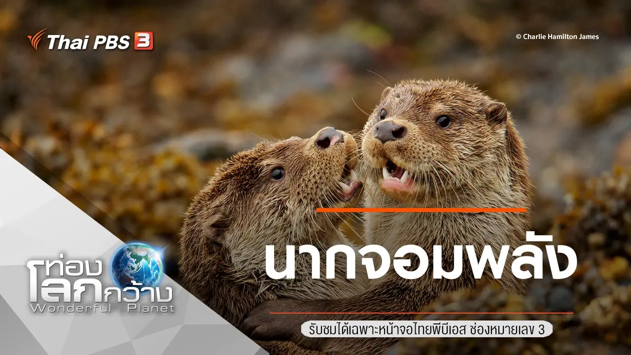 นากจอมพลัง