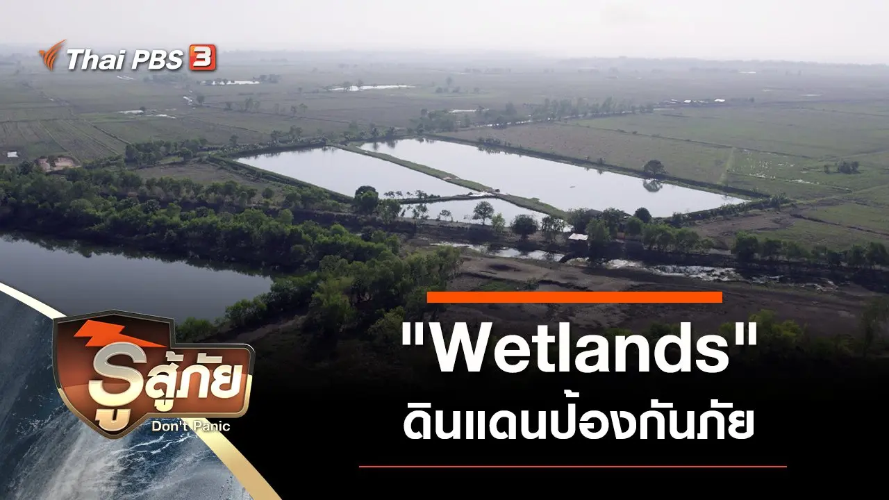 "Wetlands" ดินแดนป้องกันภัย