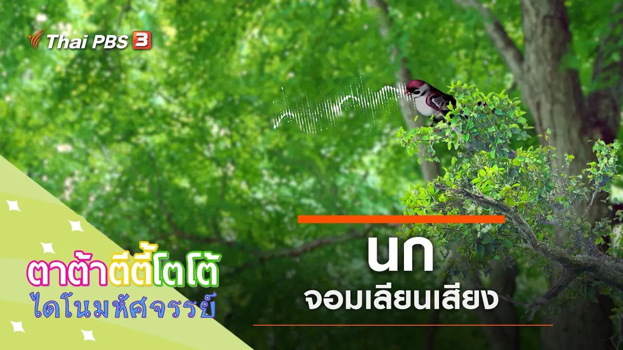 นกจอมเลียนเสียง