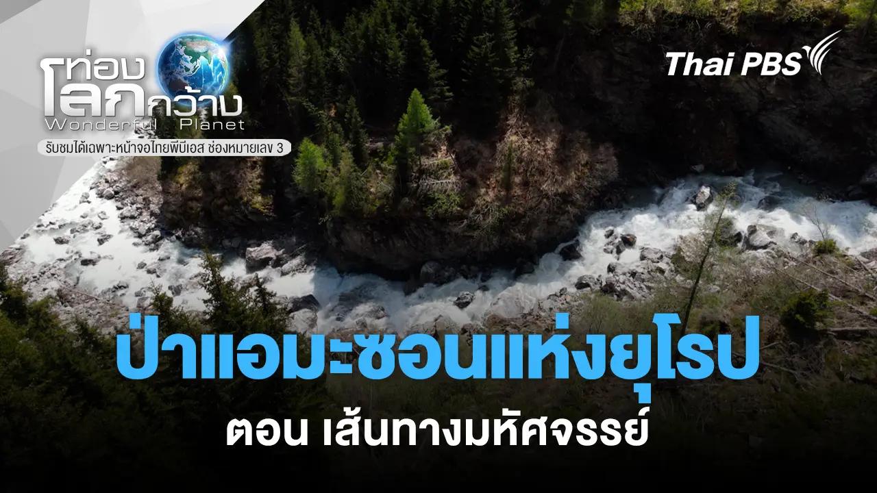 ป่าแอมะซอนแห่งยุโรป ตอน เส้นทางมหัศจรรย์ 