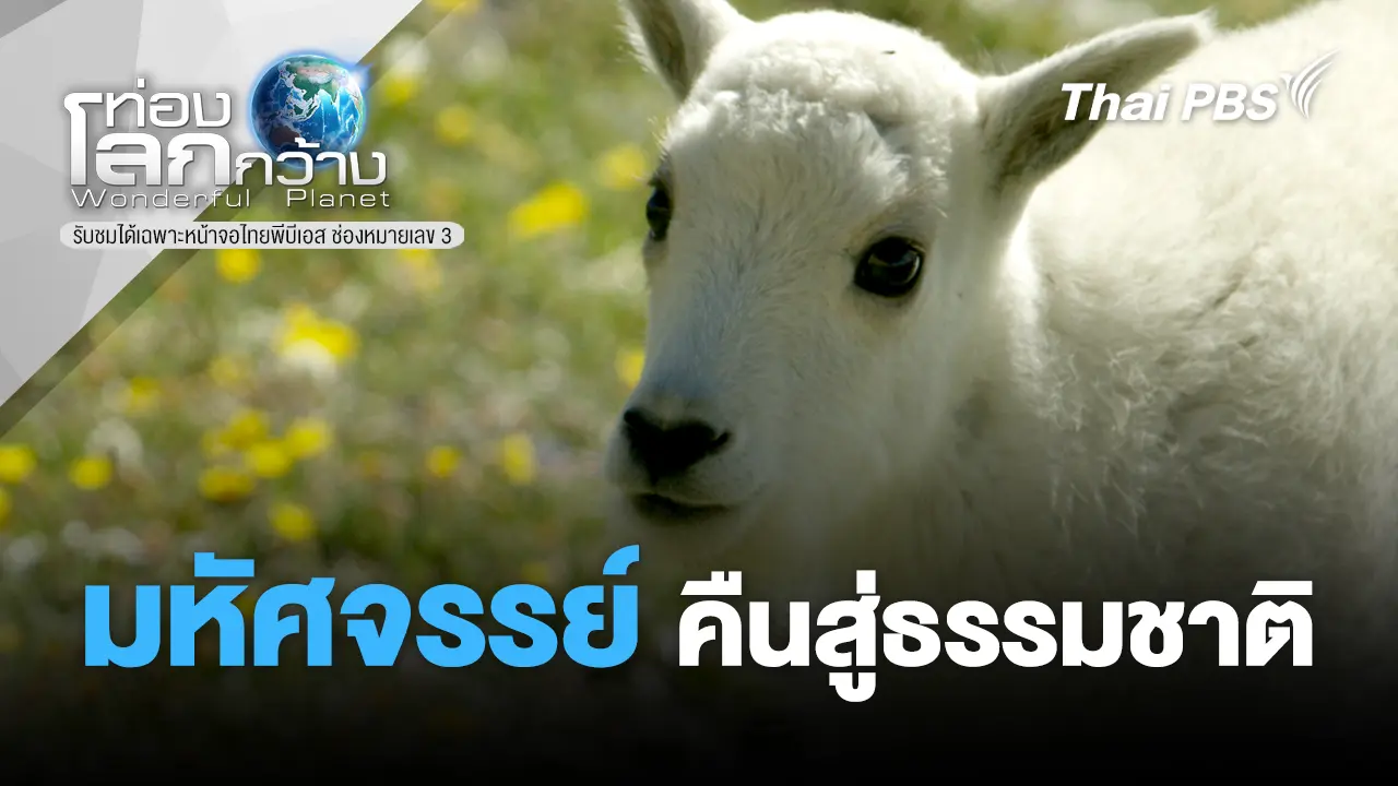 มหัศจรรย์คืนสู่ธรรมชาติ 