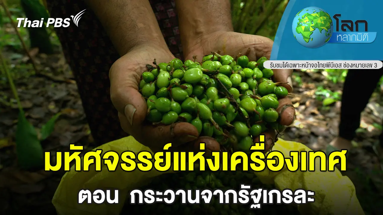 มหัศจรรย์แห่งเครื่องเทศ ตอน กระวานจากรัฐเกรละ