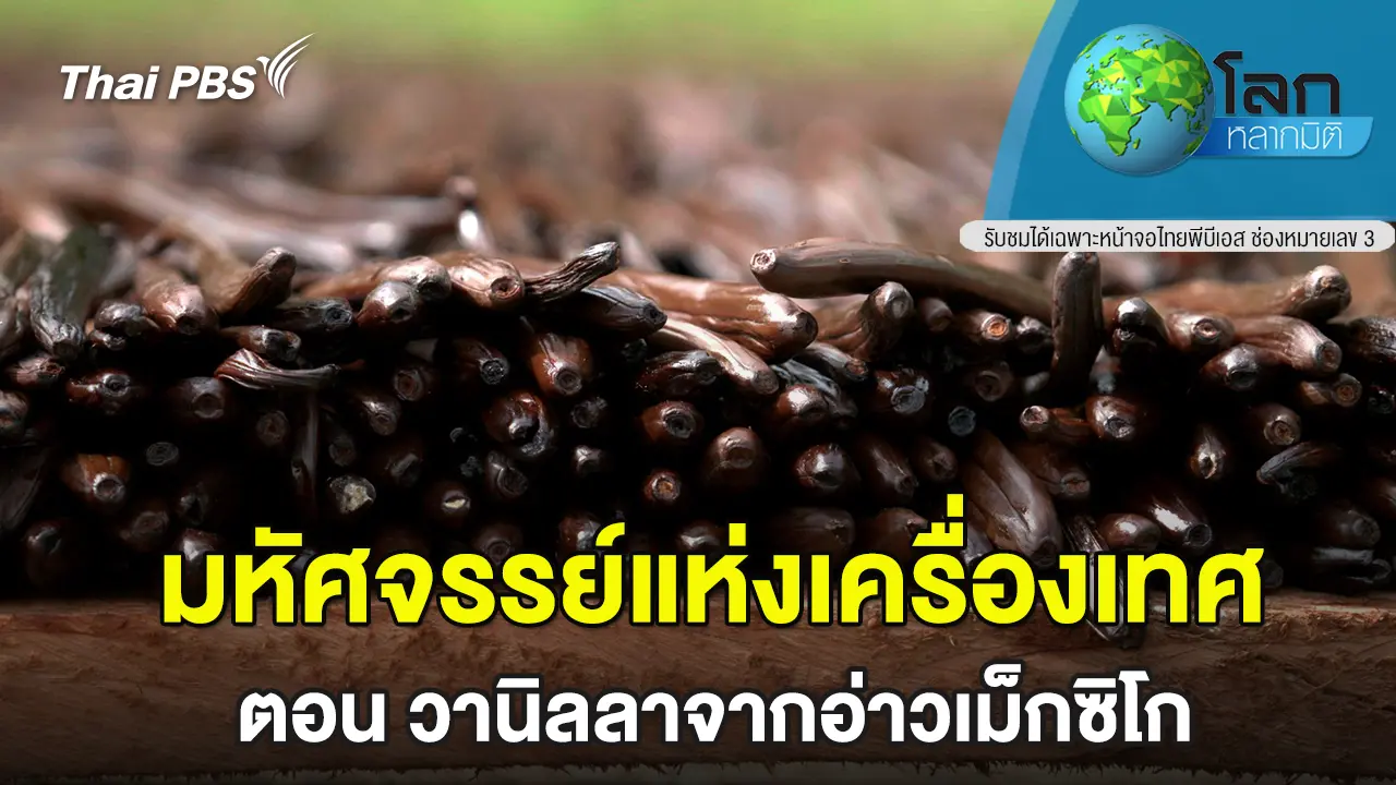 มหัศจรรย์แห่งเครื่องเทศ ตอน วานิลลาจากอ่าวเม็กซิโก