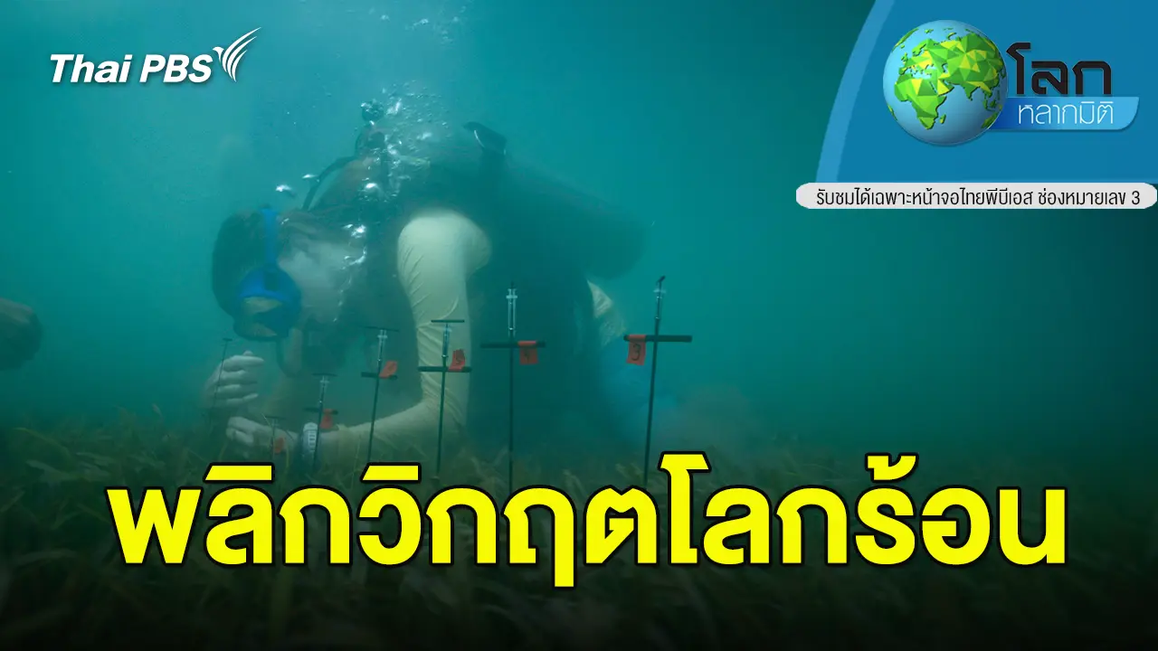 พลิกวิกฤตโลกร้อน
