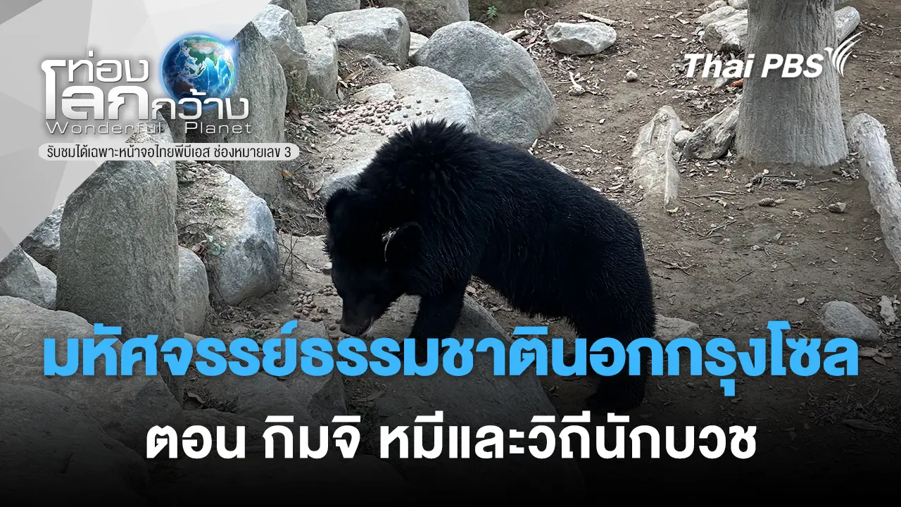 มหัศจรรย์ธรรมชาตินอกกรุงโซล ตอน กิมจิ หมีและวิถีนักบวช