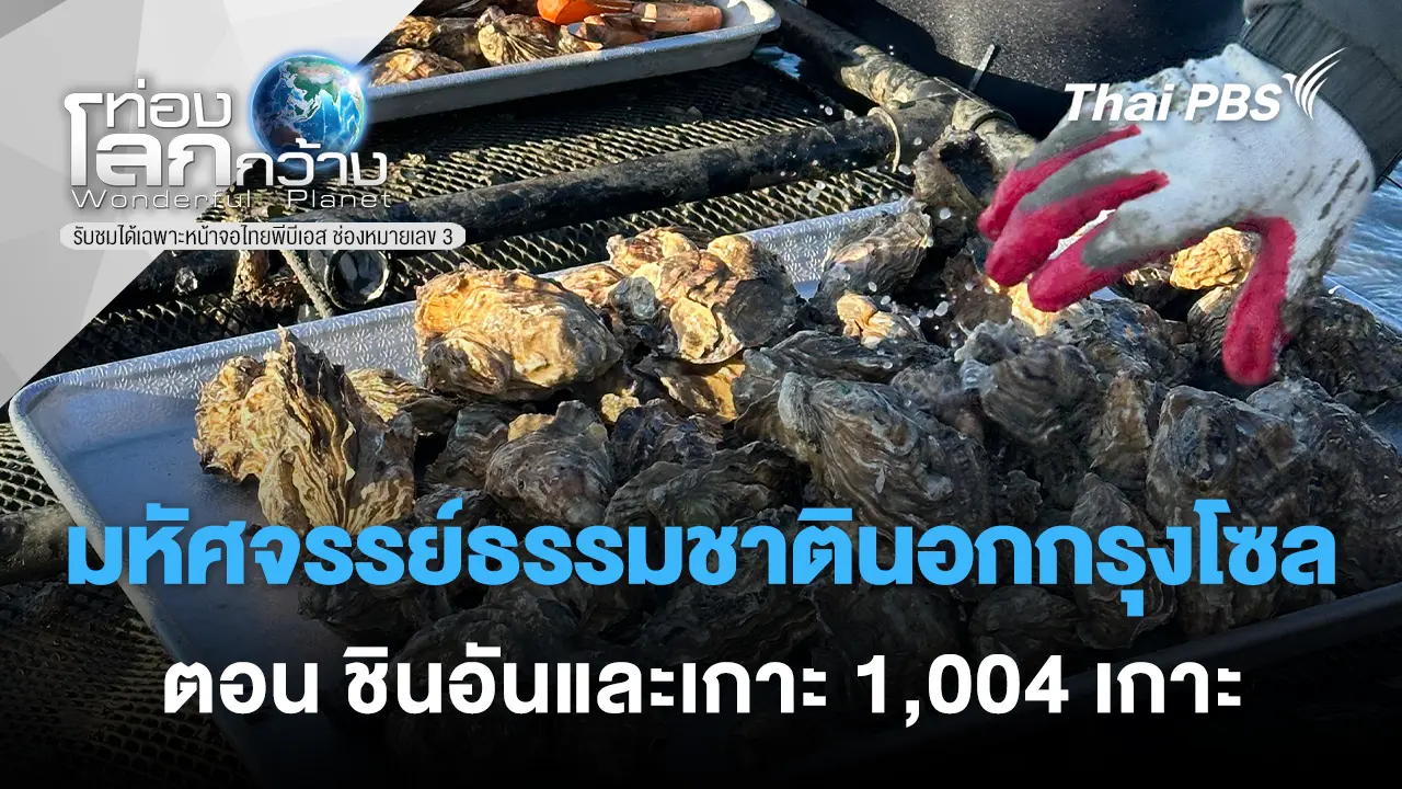 มหัศจรรย์ธรรมชาตินอกกรุงโซล ตอน ชินอันและเกาะ 1,004 เกาะ