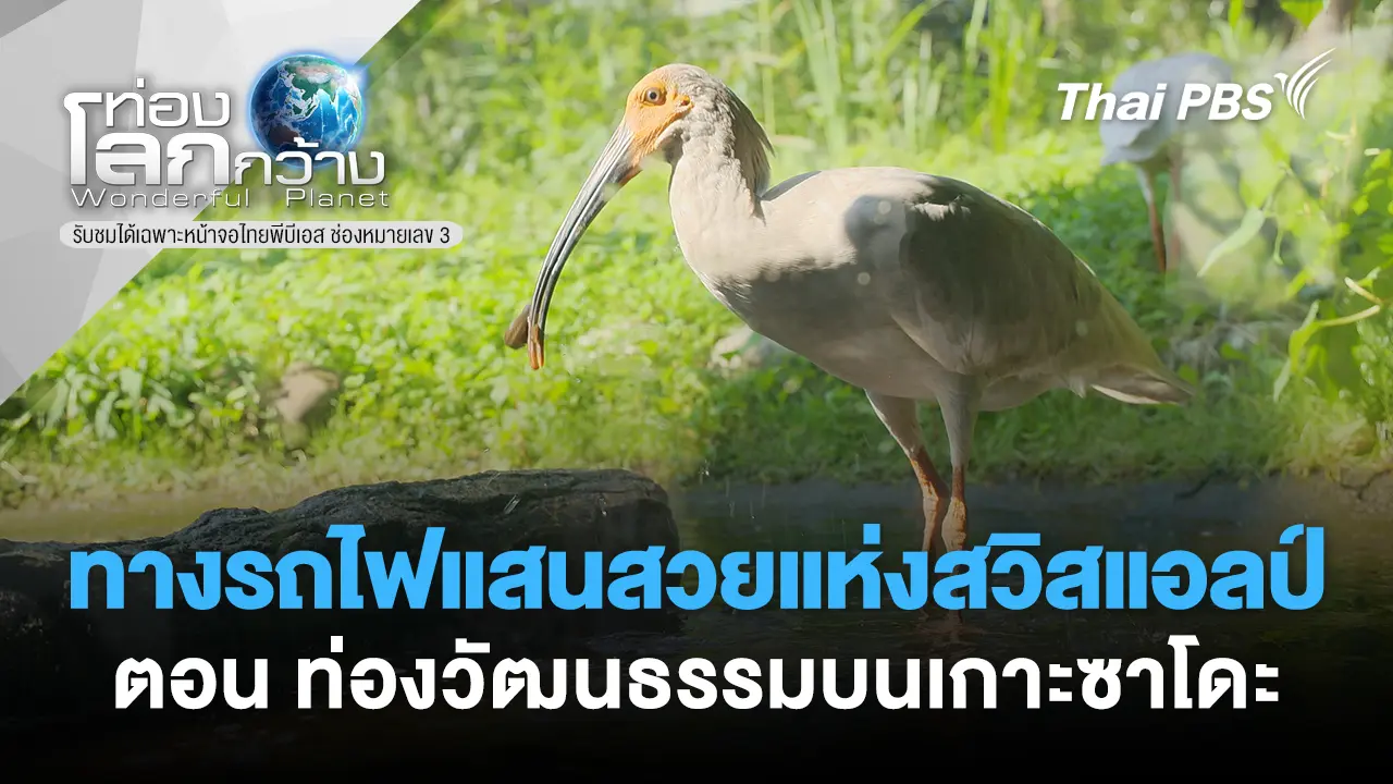 นักปั่นตะลุยญี่ปุ่น ตอน ท่องวัฒนธรรมบนเกาะซาโดะ 