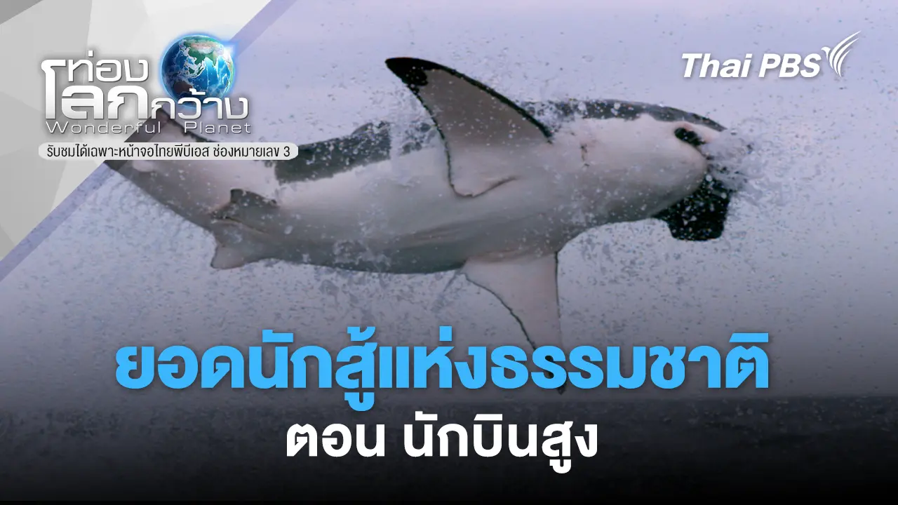 ยอดนักสู้แห่งธรรมชาติ ตอน นักบินสูง 