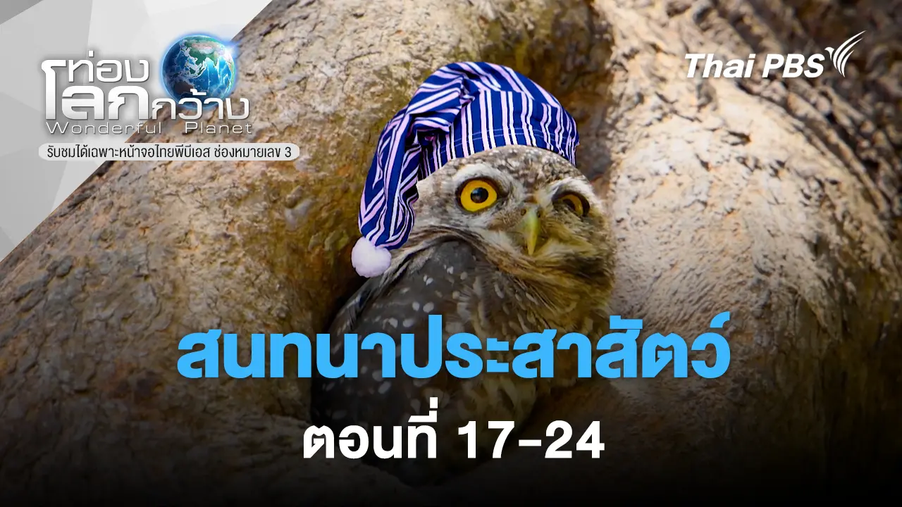 สนทนาประสาสัตว์ ตอนที่ 17-24
