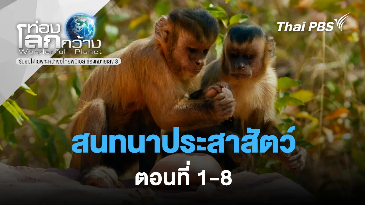 สนทนาประสาสัตว์ ตอนที่ 1-8