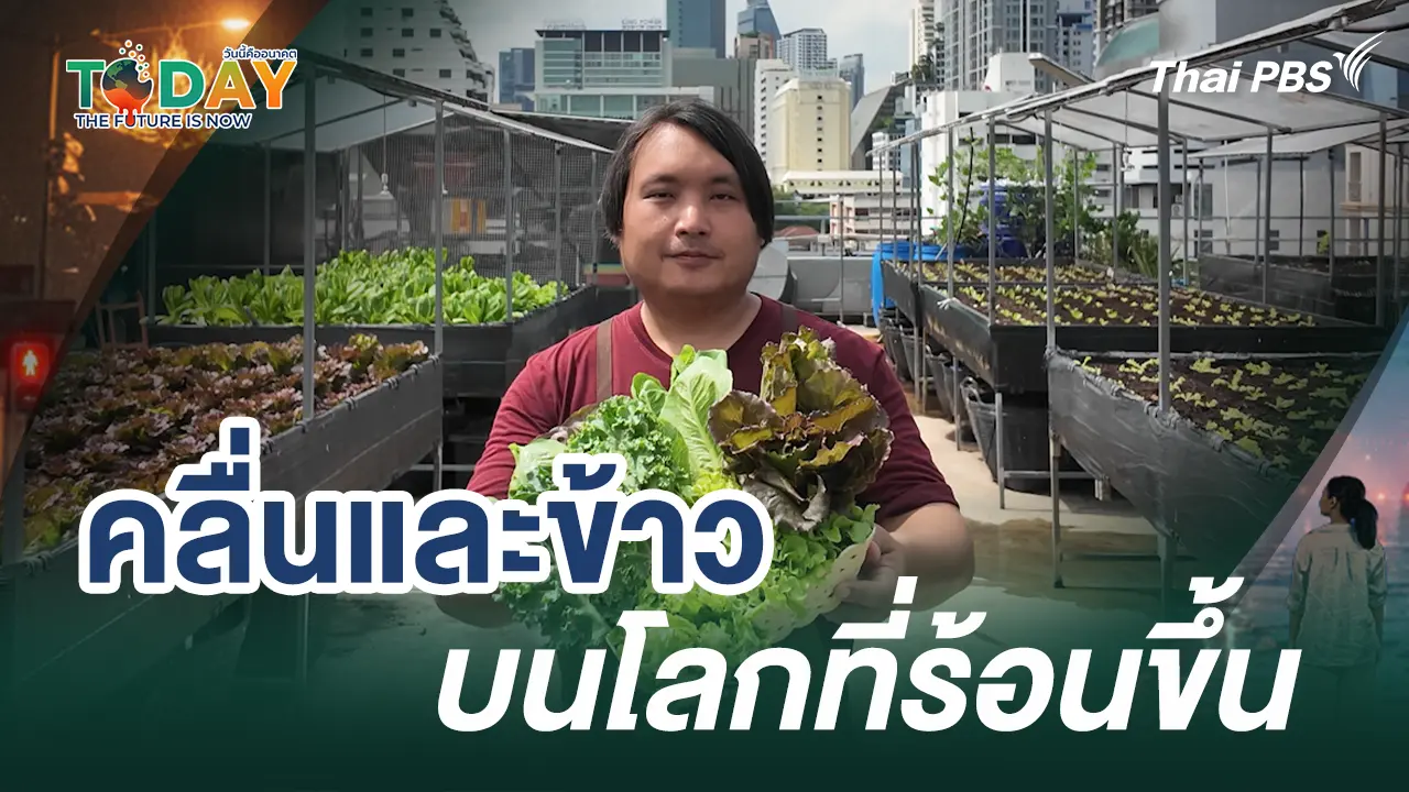 คลื่นและข้าว บนโลกที่ร้อนขึ้น