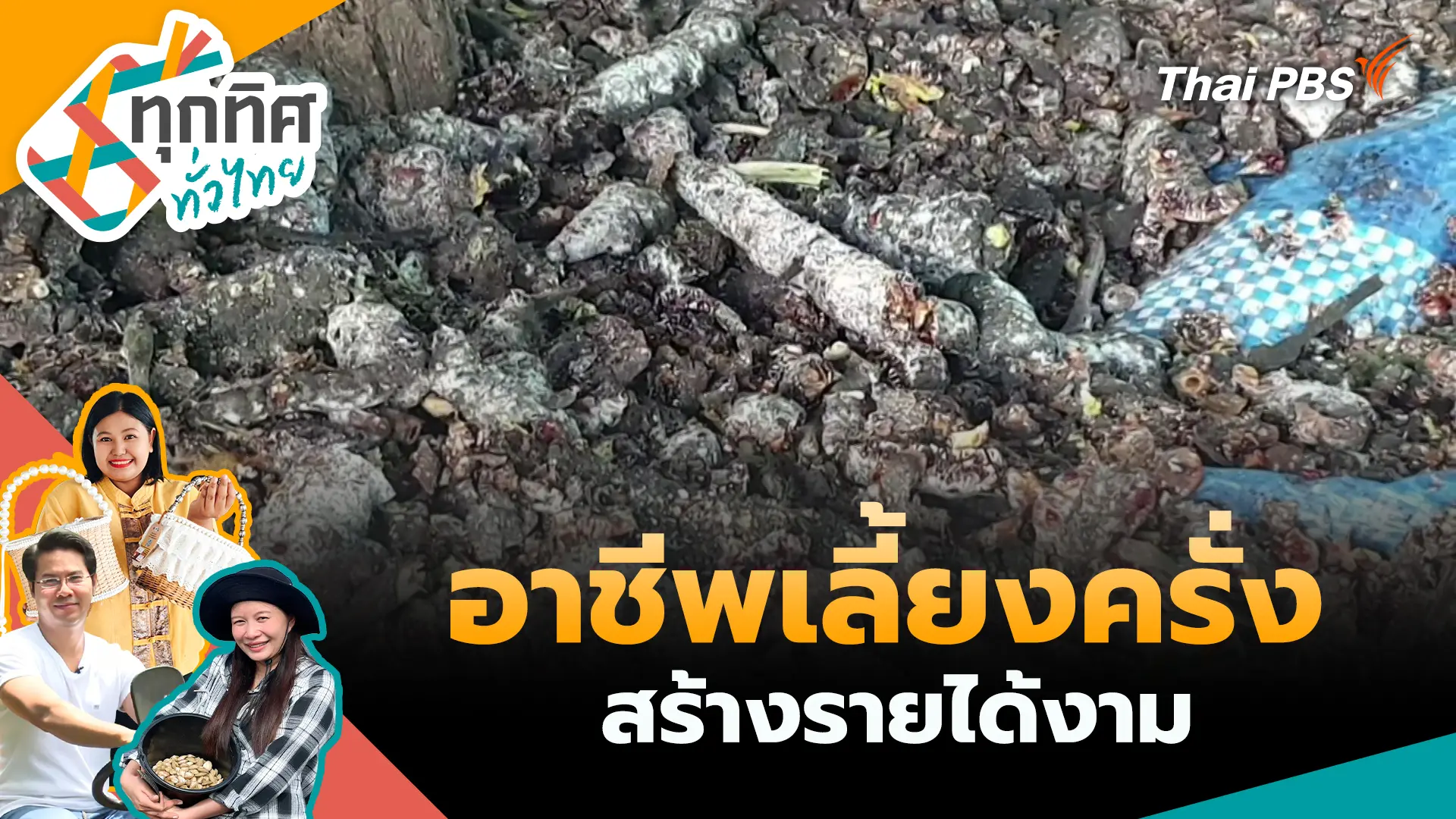 อาชีพเลี้ยงครั่งสร้างรายได้งาม