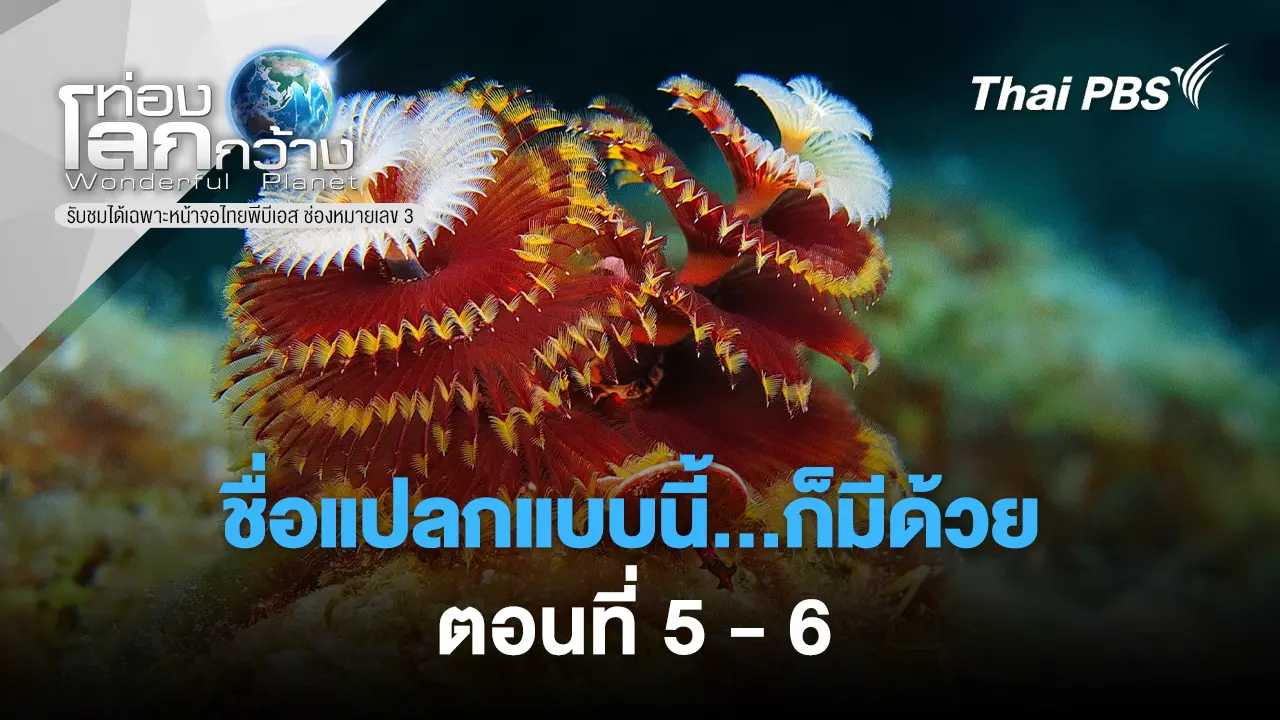 ชื่อแปลกแบบนี้...ก็มีด้วย: Ep.5 - 6 