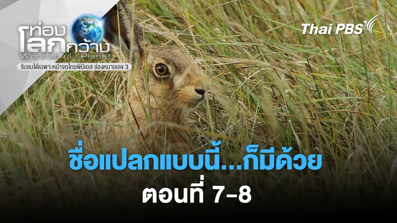 ชื่อแปลกแบบนี้...ก็มีด้วย: Ep.7 - 8