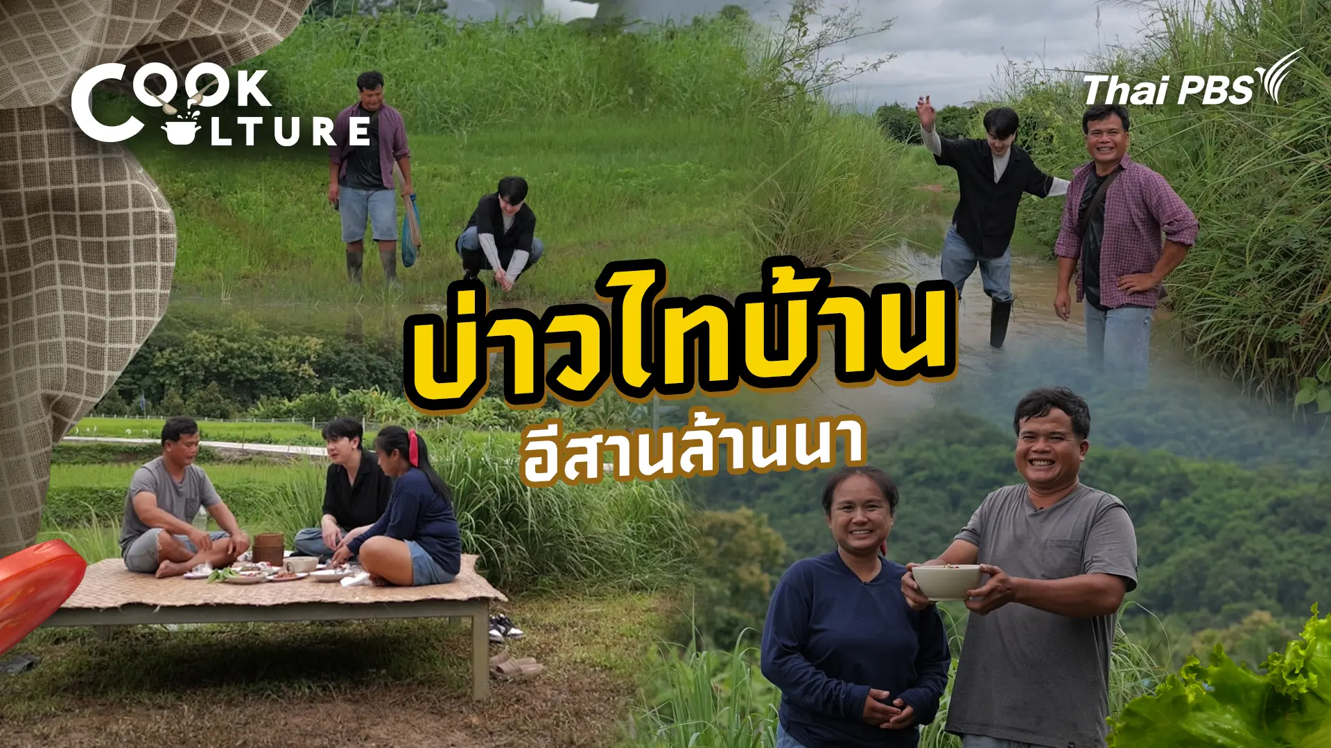 บ่าวไทบ้านอีสานล้านนา