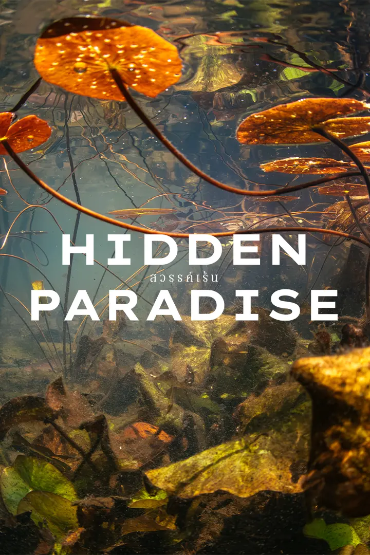 Hidden Paradise สวรรค์เร้น
