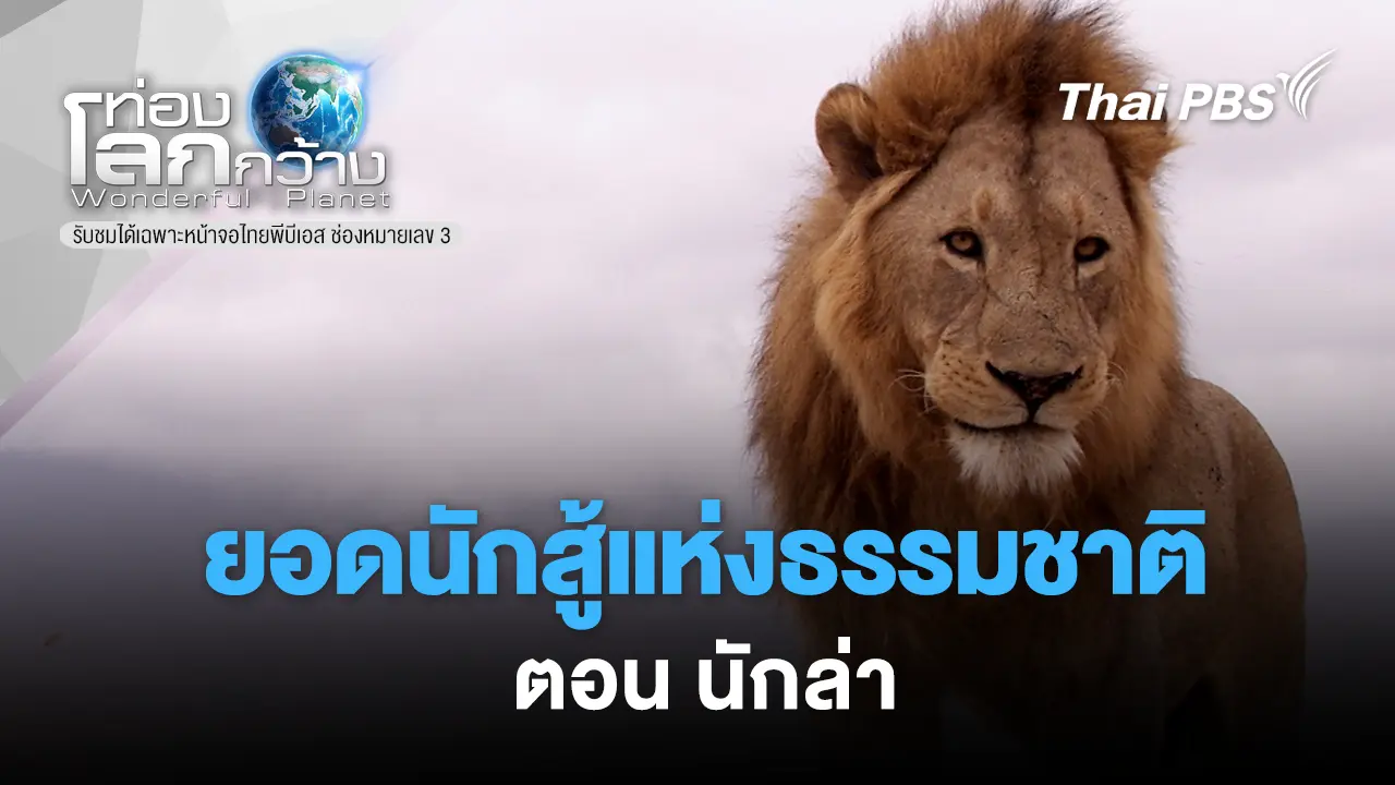 ยอดนักสู้แห่งธรรมชาติ ตอน นักล่า 
