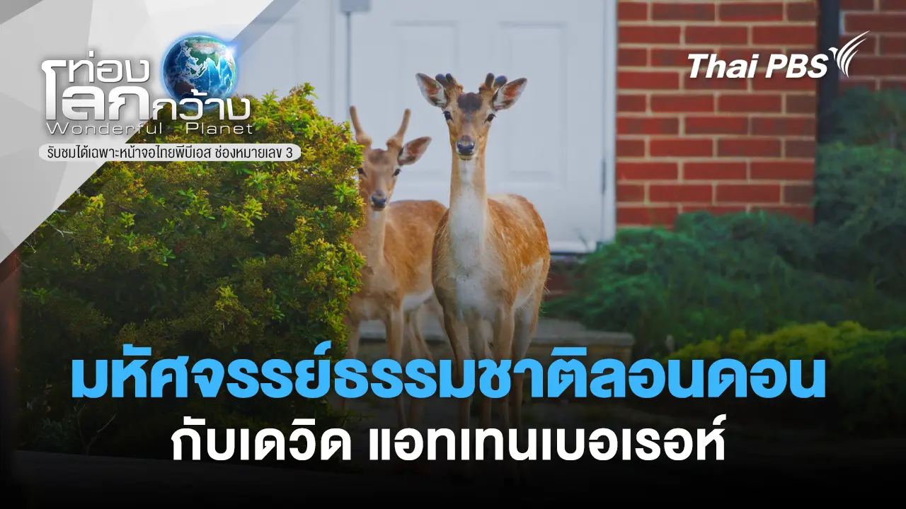 มหัศจรรย์ธรรมชาติลอนดอน กับเดวิด แอทเทนเบอเรอห์  