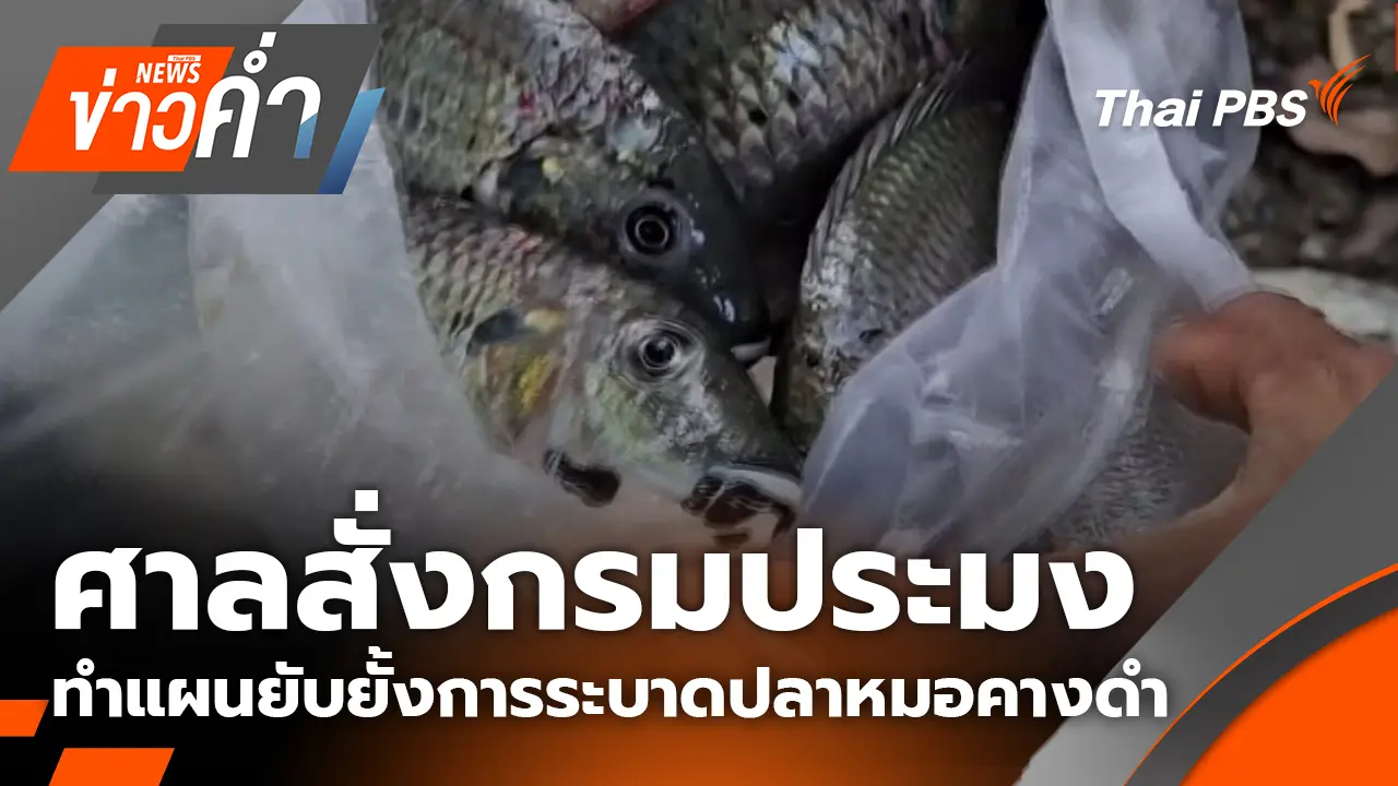 ศาลสั่งกรมประมง ทำแผนยับยั้งการระบาดปลาหมอคางดำ
