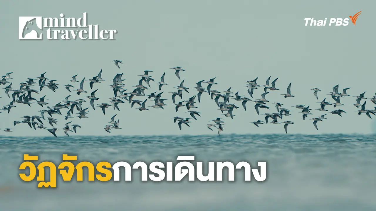 วัฏจักรการเดินทาง