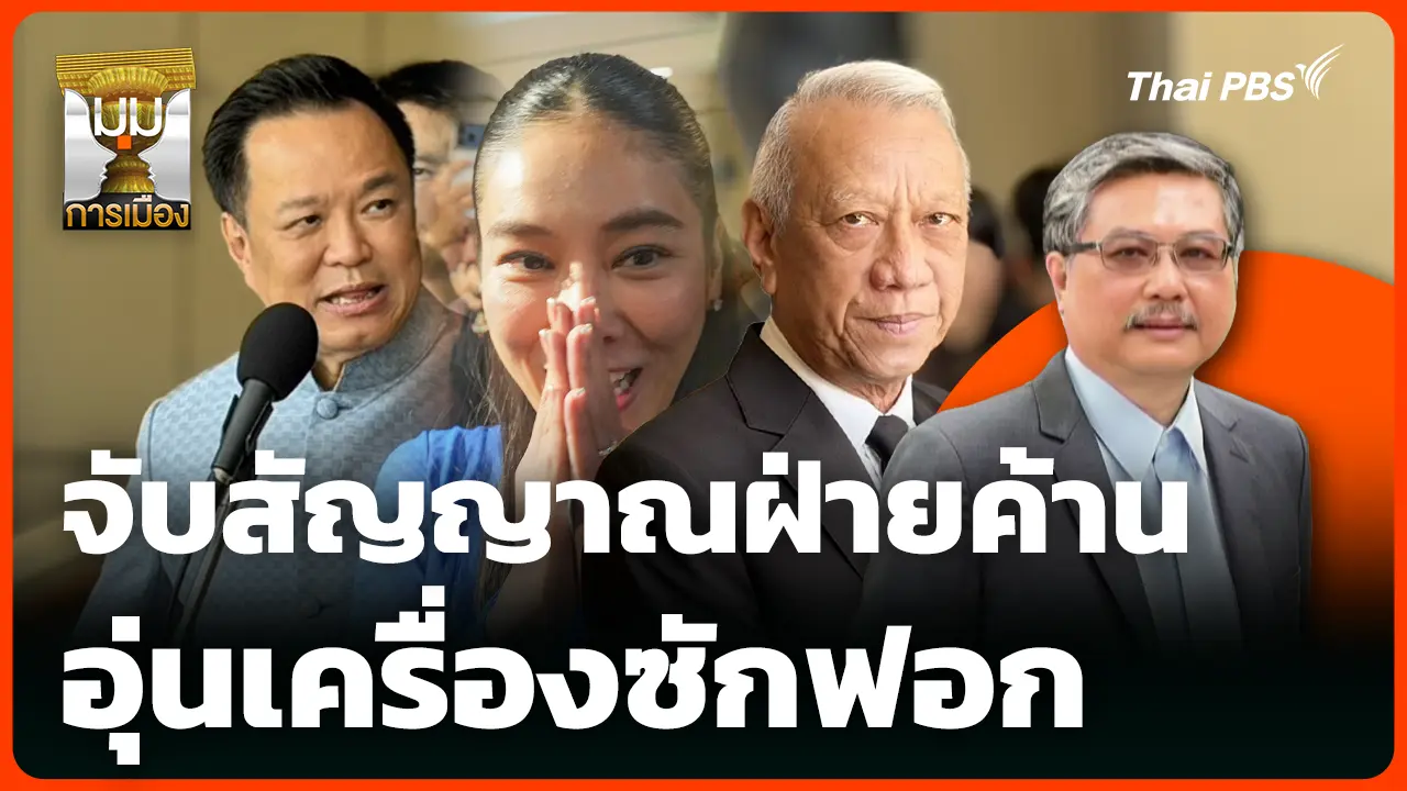 政治视角