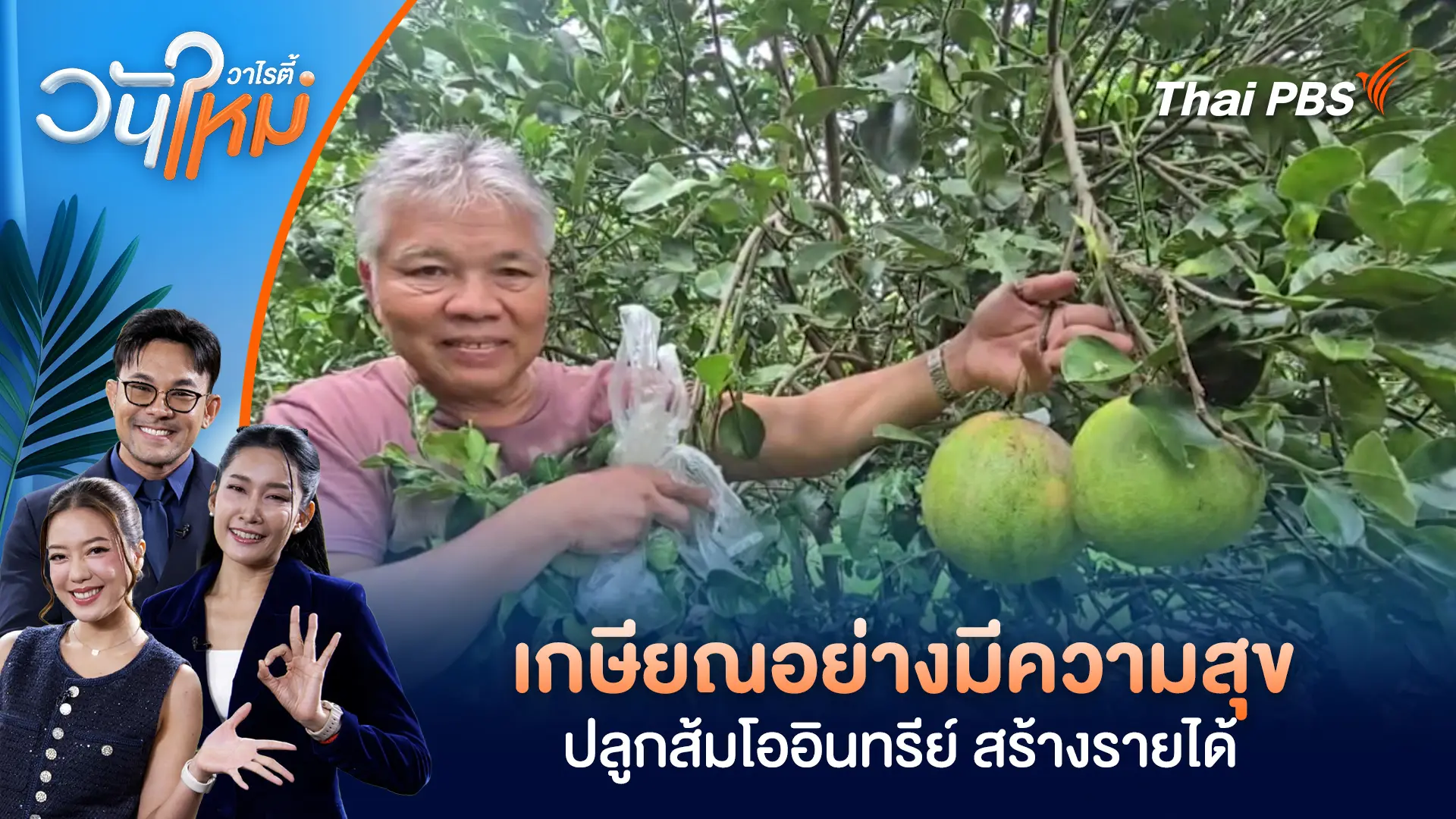 เกษียณอย่างมีความสุข ปลูกส้มโออินทรีย์ สร้างรายได้