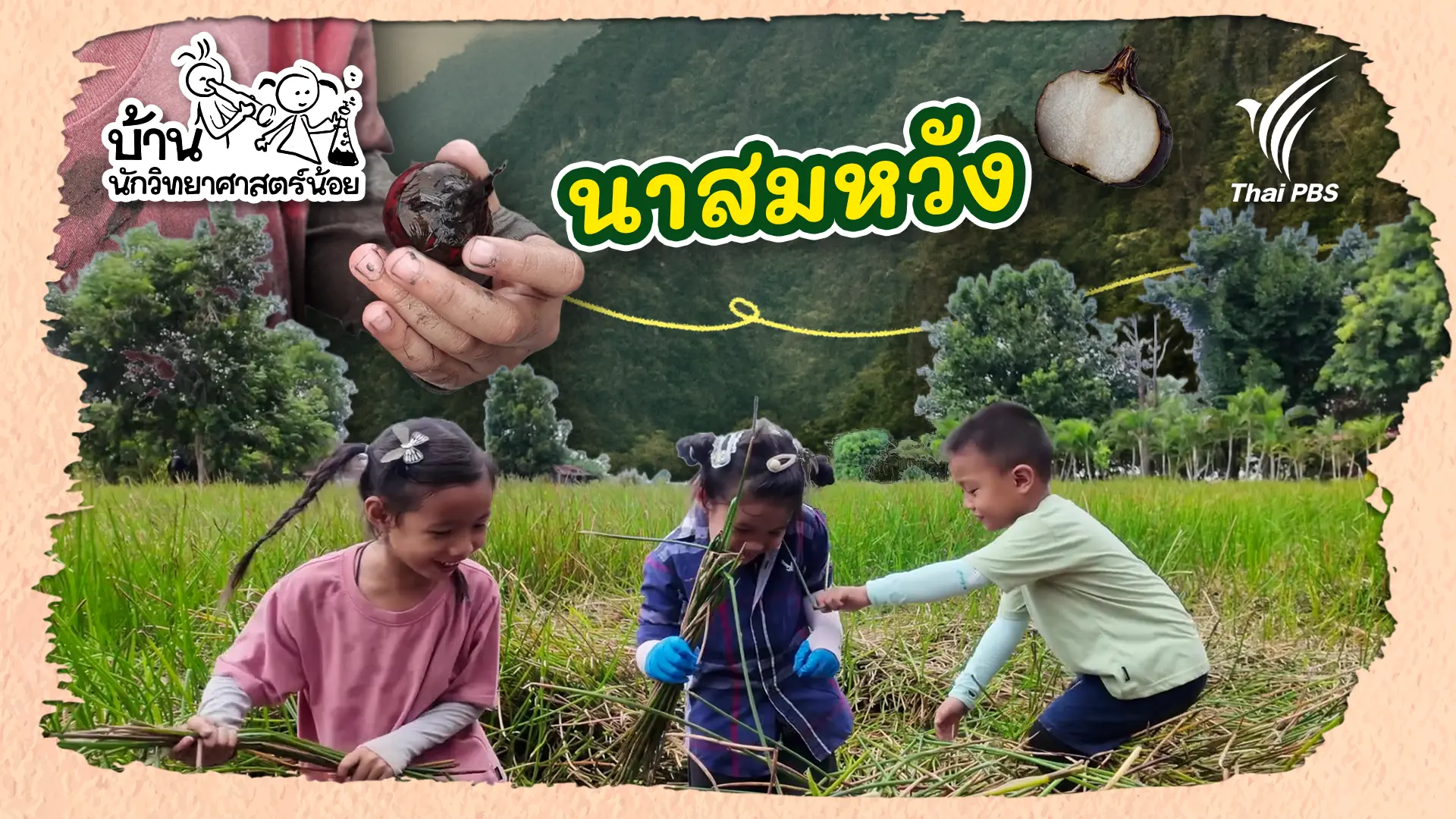 นาสมหวัง