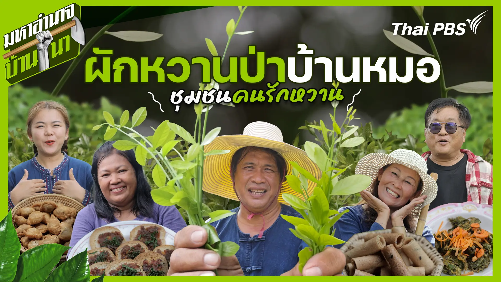ผักหวานป่าบ้านหมอ ชุมชนคนรักหวาน