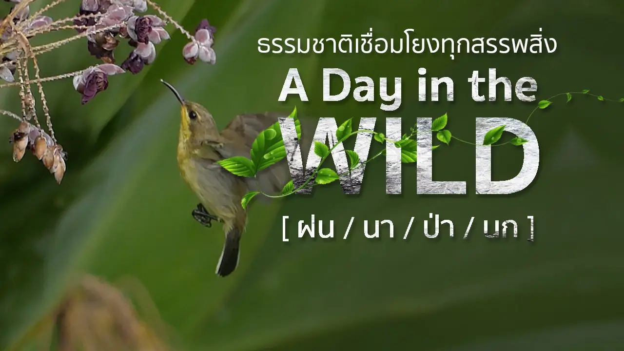 วิถีธรรมชาติ