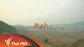คนไทยกินป่าเป็นอาหาร