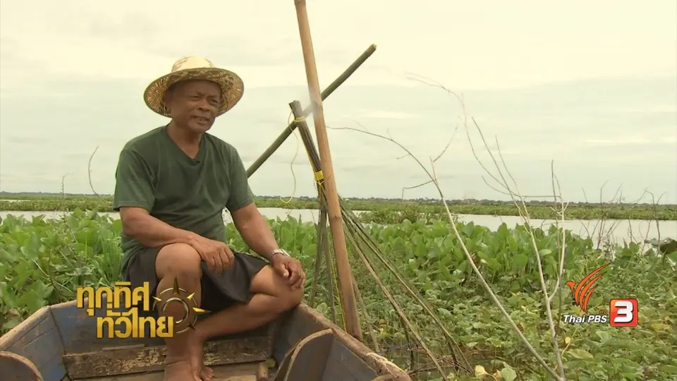 วิถีทั่วไทย : วิถีชีวิตการทำมาหากินในบึงบอระเพ็ด