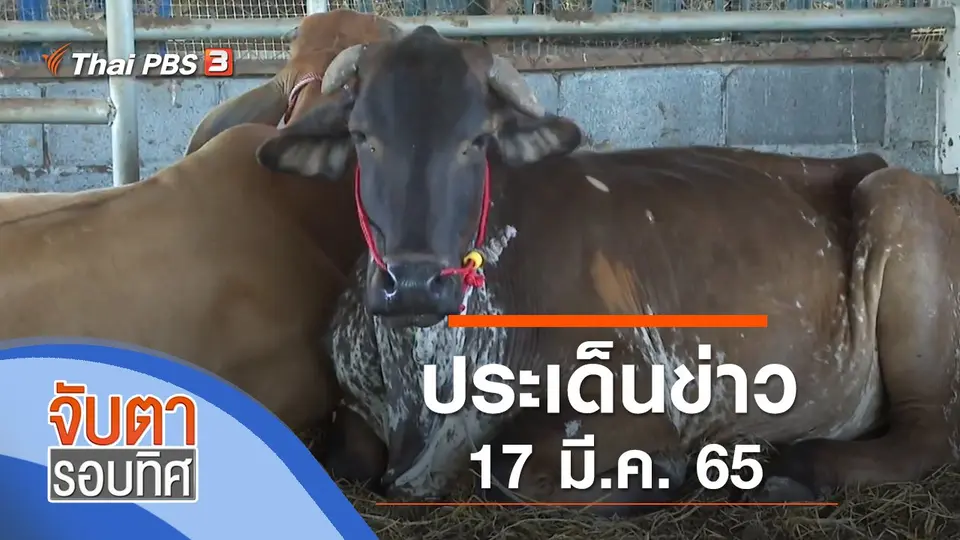 จับตารอบทิศ
