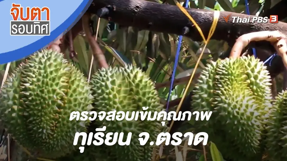 จับตารอบทิศ