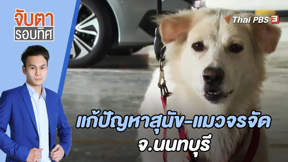 จับตารอบทิศ