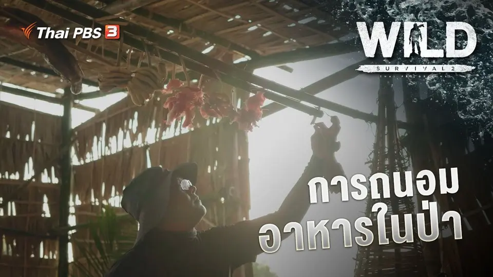 การถนอมอาหารในป่า