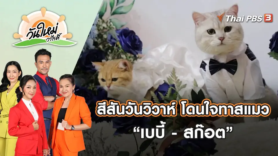 วันใหม่วาไรตี้
