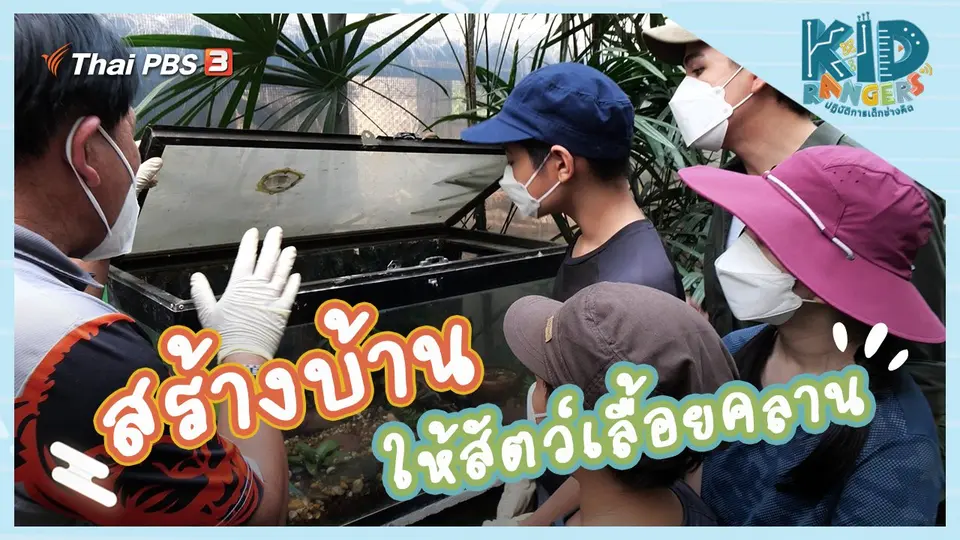 สร้างบ้านให้สัตว์เลื้อยคลาน