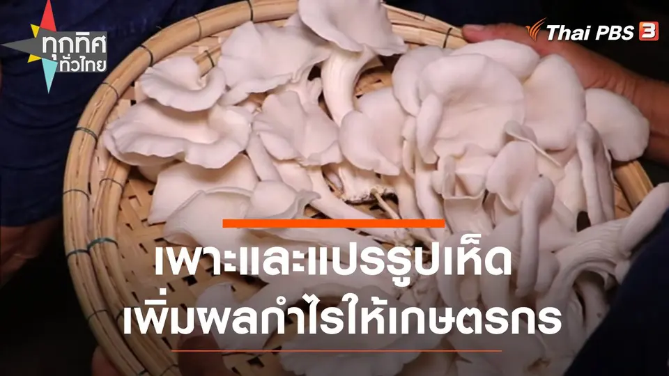 เพาะและแปรรูปเห็ด เพิ่มผลกำไรให้เกษตรกร
