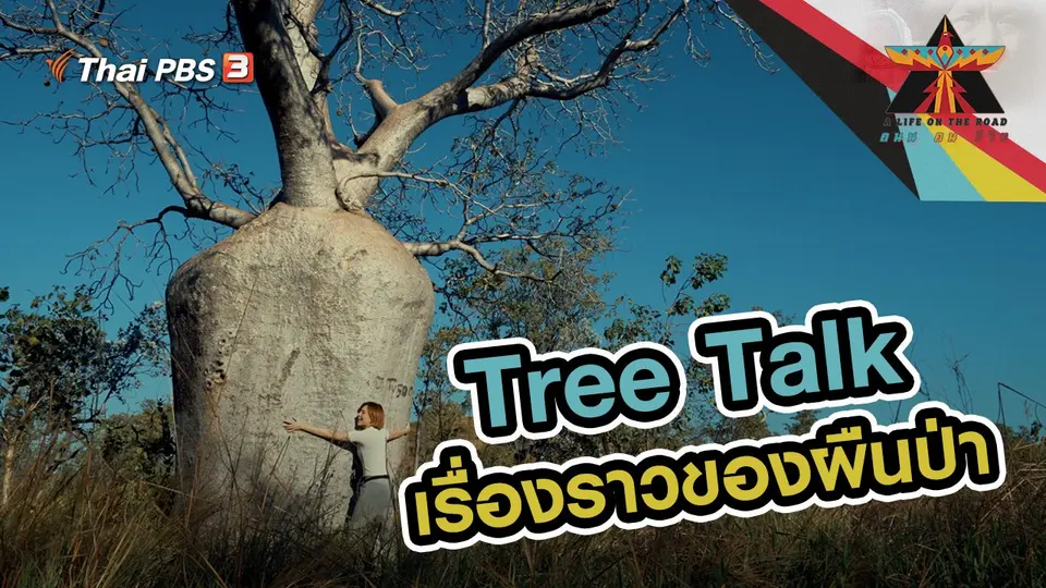Tree Talk เรื่องราวของผืนป่า