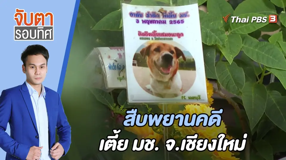 จับตารอบทิศ