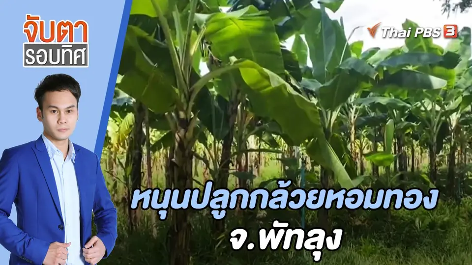 จับตารอบทิศ