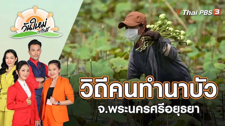 วิถีคนทำนาบัว จ.พระนครศรีอยุธยา | วันใหม่วาไรตี้ | 23 พ.ค. 65