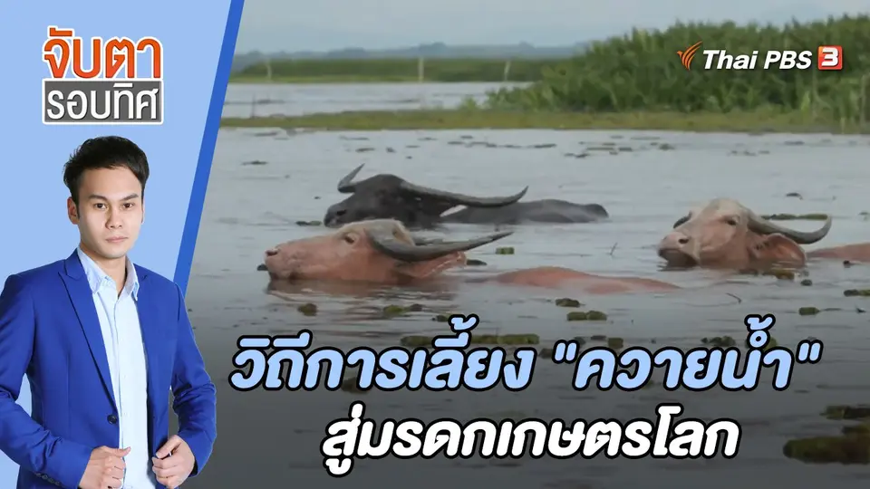 จับตารอบทิศ