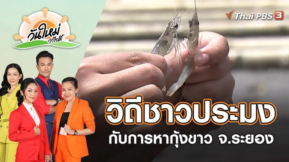 วิถีชาวประมงกับการหากุ้งขาว จ.ระยอง | วันใหม่วาไรตี้ | 27 พ.ค. 65